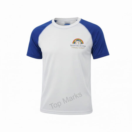 Britannia bridge pe top
